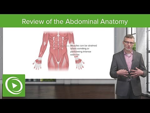 Patient Intro and Review of the Abdominal Anatomy | Physical Examination