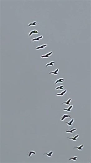 Going South In December?!