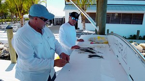 2.1K views · 70 reactions | How To Prepare a Ballyhoo Bait | Local Knowledge Fishing Show Capt. Scott Goodwin demonstrates how to prepare ballyhoo baits that can be used while fishing for numerous offshore species including tuna, mahi, marlin, and sailfish. This method ensures your ballyhoo baits swim naturally while offering an easy way to quickly pin them onto a hook and use in a trolling or pitch bait scenario. #sportfishing #ballyhoo #fishingbait | Local Knowledge | Facebook