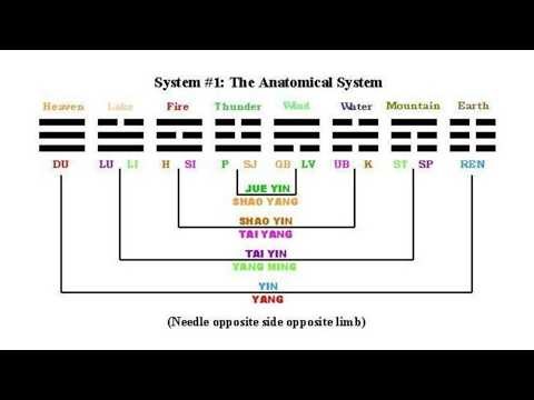 SYSTEM 1 OF TAN BALANCE METHOD: ANATOMICAL IMAGING SYSTEM