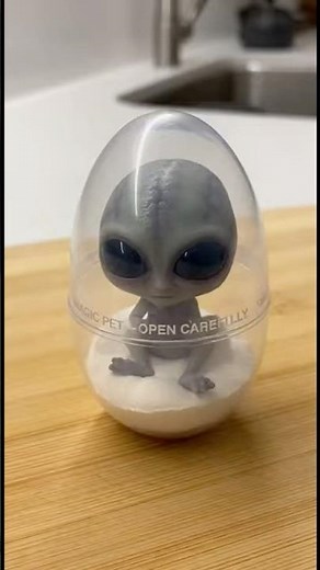 Real Alien Capsule Opens and It's Actually Alive #aliens #shorts #unboxing
