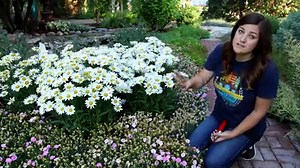 181K views · 2.2K reactions | It's time to show those perennials a little love! | Proven Winners | Facebook