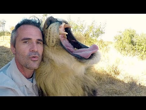Animals Unique Bond | The Lion Whisperer