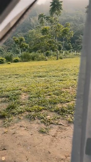 40K views · 164 reactions | Letting nature take it's course.  Our 4x4 river trail adventure going to the hidden falls.  We only have 2 scheduled rides per day. Bring your family and friends for an unforgettable journey. Thank you Ms. Aj Leal for this amazing video.  | Camp Hiatus | Facebook