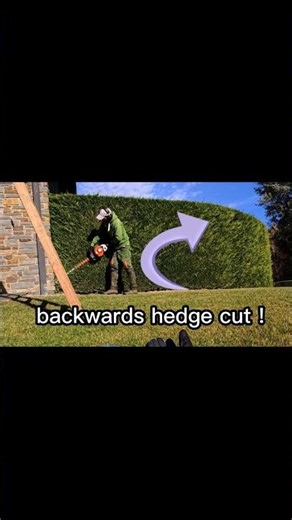 What Happens If You Cut a Hedge Backwards?