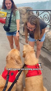 137K views · 10K reactions | We always take a Summer trip to the Falls. This time we met Michelle, her husband Rob and daughter Amber, they were visiting from St. Louis and really wanted to meet the boys. We had a lovely afternoon and then finished with ice cream before heading home. | Sterling Newton | Facebook
