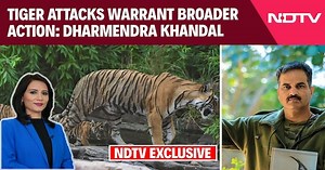 Ranthambore Tiger Reserve | Three Killed In Tiger Attacks At Ranthambore In Less Than Two Months