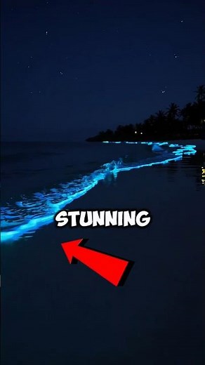 🌊Why Does the Ocean Glow Like This at Night😱
