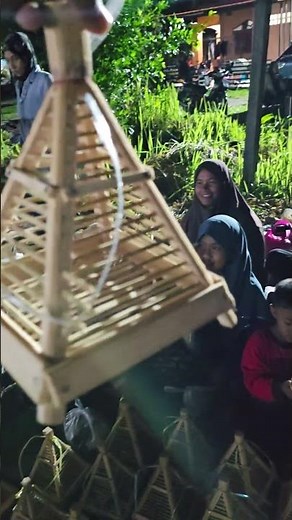 Grasshopper cage 25 baht #grasshopper cage #grasshopper race #Pattani #Yala