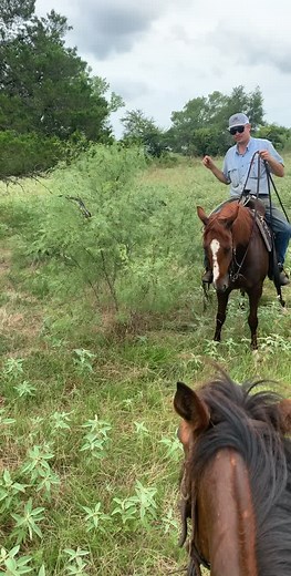 snake ranchin! #fyp #foryoupage #ranchin #Texas