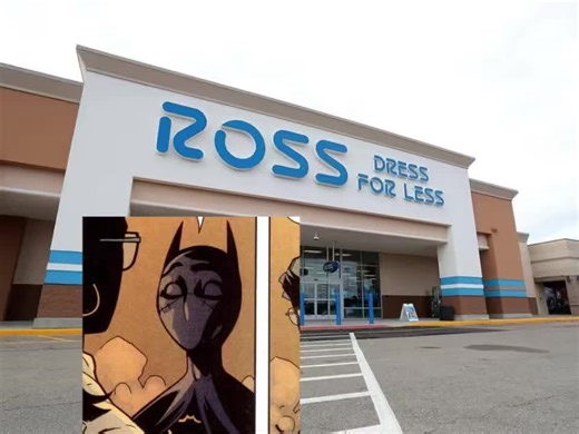 Batman and Robin patrolling Ross aka I just throw some characters together lol #batfammemes #batfamily #fyp #dc