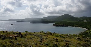 10 Female Caribbean Authors You Should Know