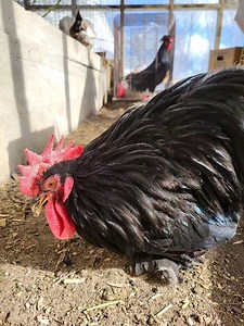 Cooking With Kimberly on Reels