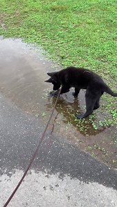 282K views · 28K reactions | Best. Day. Ever. | Ten Shakes of Grace | Facebook