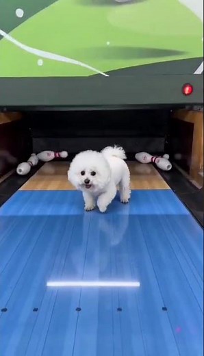 Unlock Bowling Skills! Top Tips for Beginners