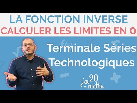 Calculate the limits at 0 - The inverse function - Terminale Séries Technologiques