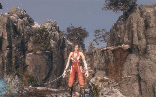 《只狼：影逝二度》忍者龙剑传 巫女 红叶MOD