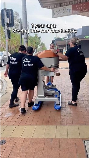 1 Year in our Marshmallow Factory! 🎉