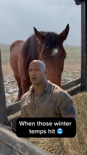 106K views · 1.5K reactions | Insert seasonal affective disorder  | Square One Horsemanship LLC | Facebook