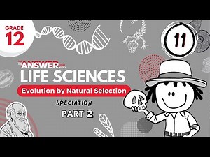 GR 12 EVOLUTION BY NATURAL SELECTION – Speciation (PART 2) #11
