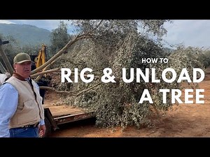 Tree Rigging and Unloading 101 | How To Rig & Unload Trees | Vecchio Trees
