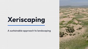 Xeriscaping