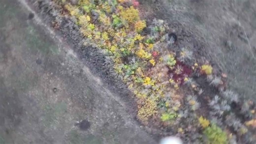 Footage shows Russian 'Sky Predator' drone drowning Ukrainian UAVs with nets