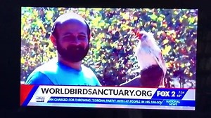 Thanks to Fox2Now for featuring World Bird Sanctuary this morning! | World Bird Sanctuary