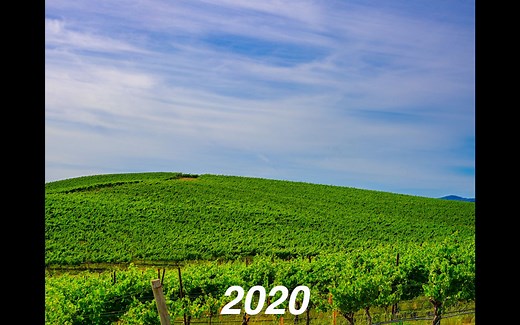 2020年参观Windows XP经典壁纸Bliss拍摄地