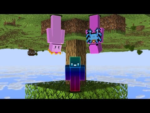 Can You Beat Minecraft If Gravity Is Random?