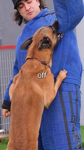 661K views · 13K reactions | Hand vs Dog Bite | Tyler Blanchard | Facebook