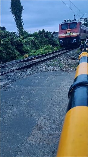 train #lifecapture #nature