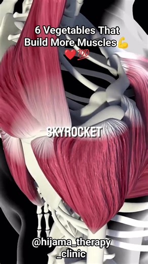 Fuel your muscles with the power of plants! 💪 Discover 6 vegetables that can help you build more muscle and reach your fitness goals. #musclebuilding #vegetables #fitness #nutrition #healthyeating | Hijama Therapy Clinic