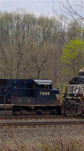 3002 CSX, and 7685, 7258, 7265, 4298, and 4483 NS Locomotives