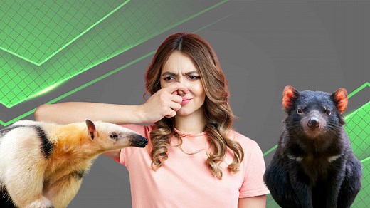 The 10 Smelliest Animals in the World