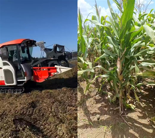 11K views · 25 reactions | Amazing farm equipment  #farmers #farmequipment #farming #farmmachinery #farm #farmlife #farmerlife #farminglife #FarmingCommunity #agriculturelife #agriculture #agricultureworldwide | Glen M Ibanez | Facebook