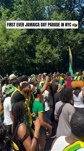 First Ever Jamaica Day Parade In NYC!😱🇯🇲 (New York City) #jamaicaindependence #jamaicafestival