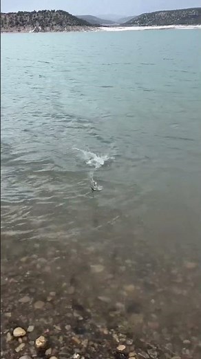 Fishing At Trinidad Lake In Trinidad, Colorado: #fishing #world