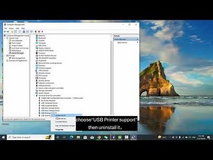19. How to Fix ‘Can't Find the Port’ Error When Installing Grozziie Printer Drivers (Windows 10)