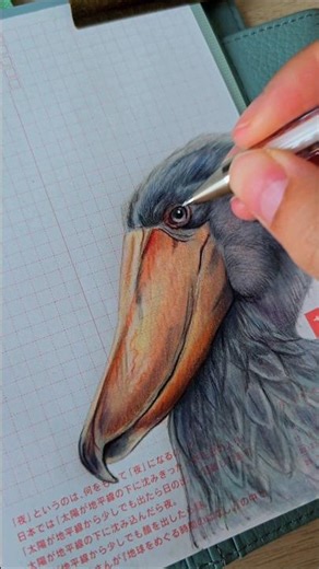 Drawing a bird in my journal | #artjournal #drawing