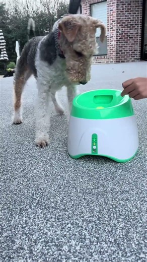 Sometimes I don’t have enough time to excersize my dog