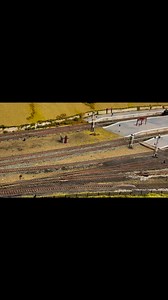 4.1K views · 96 reactions | A glimpse of the Famous Trains model railway layout at Markeaton Park in Derby. I have added the sound of a real steam locomotive to the video soundtrack, just for fun! #modelrailway #steamtrain #hornby #railways #modeltrains | Adrian Watson | Facebook