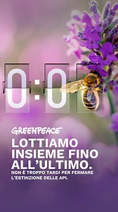 9.3K views · 91 reactions |  Oggi è la Giornata mondiale delle api… ma c’è poco da festeggiare. Pesticidi chimici tossici, agricoltura intensiva e crisi climatica minacciano la loro sopravvivenza. Senza le api rischiamo un terzo del nostro cibo!  Aiutaci a fermare questa strage silenziosa. Dona il tuo 5x1000 a Greenpeace  https://act.gp/Dona-il-tuo-5-x-10000 | Greenpeace Italia | Facebook