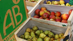 « Il existe de fausses idées. » Comment sauver l’agriculture biologique en France ?