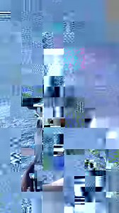 915K views · 1.5K reactions | Oh, Hai! I’m a whale shark – the largest fish in the ocean! Scary? Nah. I don’t even have teeth. You can find me swimming in the warm waters of the tropics. If you see me, don’t worry – I don’t bite. | Royal Caribbean International | Facebook