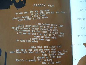 Bush - Greedy Fly