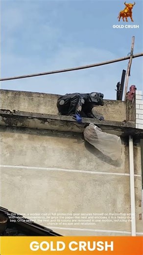 Removing a Wasp Nest Safely #shorts