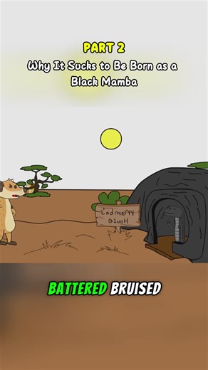 Life Cycle and Struggles of the Black Mamba Snake