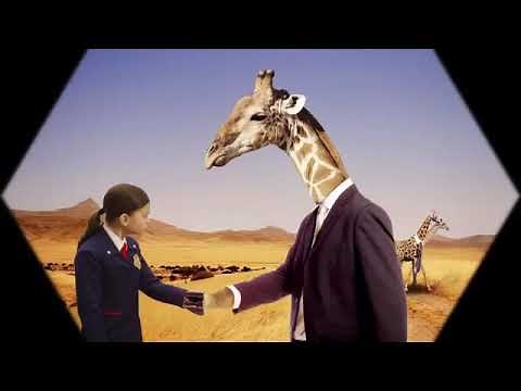 Odd SQUAD theme song