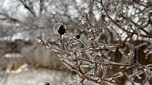 Chicago weather: Freezing rain, 'ice-covered roads' leading to dangerous driving conditions, dozens of school closures
